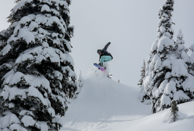 Endeavor Snowboards
